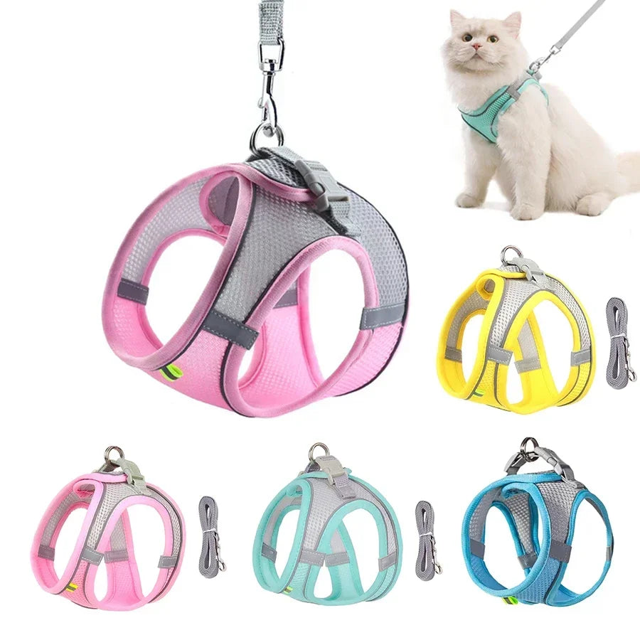 Arnés + Correa para Perros Pequeños – Ajustable, Reflectivo | Chihuahua, Pug, Bulldog