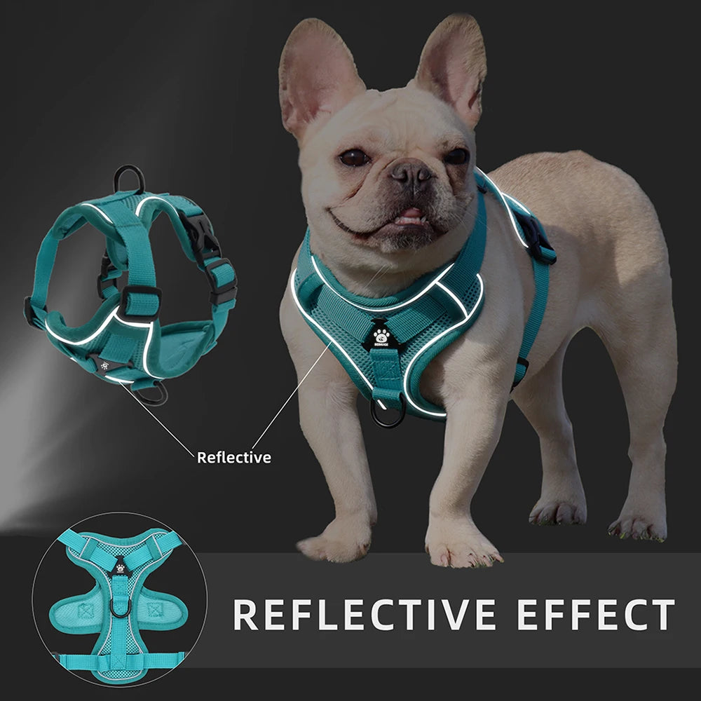 Arnés Transpirable con Correa para Perros – Reflectivo y Ajustable
