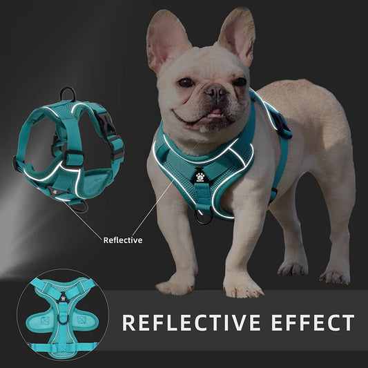 Arnés Transpirable con Correa para Perros – Reflectivo y Ajustable