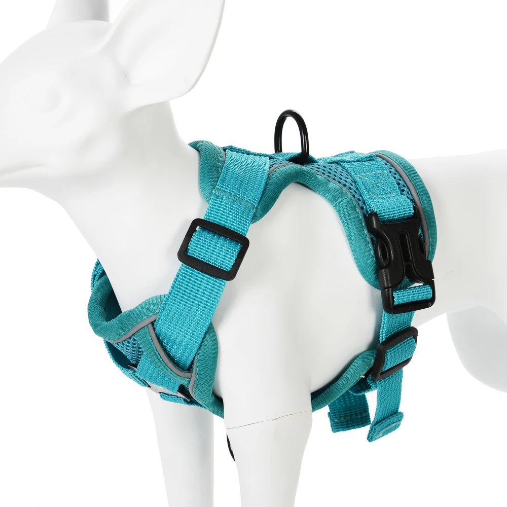 Arnés Transpirable con Correa para Perros – Reflectivo y Ajustable