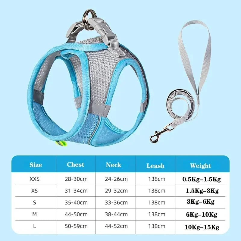 Arnés + Correa para Perros Pequeños – Ajustable, Reflectivo | Chihuahua, Pug, Bulldog