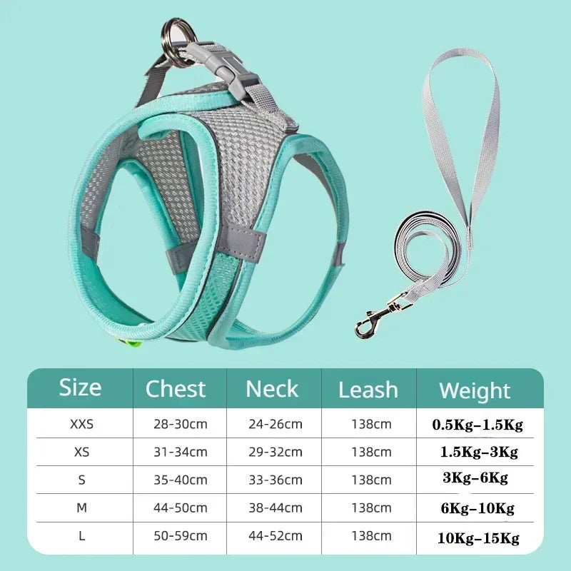 Arnés + Correa para Perros Pequeños – Ajustable, Reflectivo | Chihuahua, Pug, Bulldog